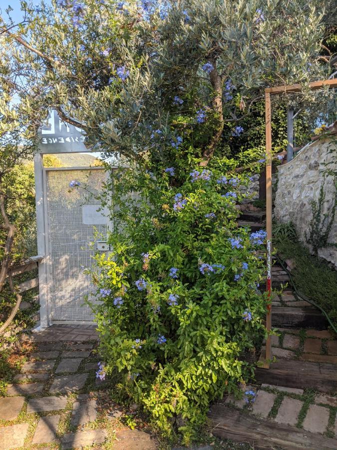 פרנטילו Le Rocche Valnerina Residence מראה חיצוני תמונה